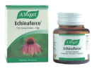 ECHINAFORCE COMPRIMIDOS CONTRA GRIPES E CONSTIPA��ES