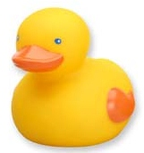 imagem: pato2.jpg